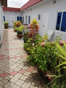 a courtyard of a house with many plants at Residence Ivoire Cotonou in Cotonou