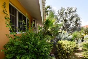 Vrt pred nastanitvijo Seru Coral Apartment
