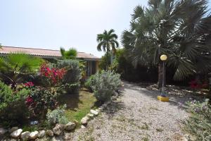 Vrt pred nastanitvijo Seru Coral Apartment