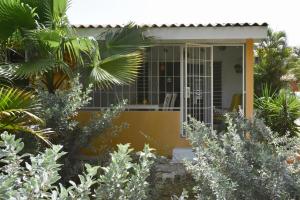 Vrt pred nastanitvijo Seru Coral Apartment