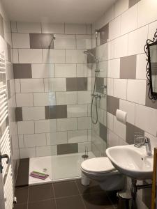 W łazience znajduje się prysznic, toaleta i umywalka. w obiekcie Hejnice Retreat w mieście Hejnice