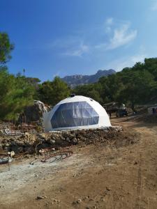 a greenhouse in the middle of a dirt road at Türkdomes Glamping in Alınca