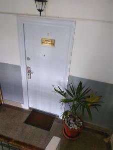 a plant sitting on a table in front of a door at Labroski Apartments in Ohrid
