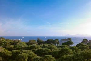 a view of the ocean from a hill with trees at Hôtel Juana in Juan-les-Pins