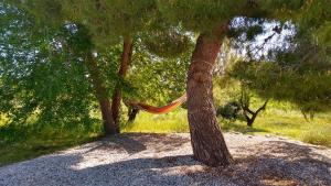 Galeriebild der Unterkunft Cortijo La Estrella in Vélez Rubio + 116 Fotos