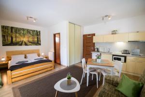 Kuchyň nebo kuchyňský kout v ubytování Apartmány Lipka