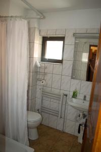 a bathroom with a toilet and a sink at PENSIUNEA MURY in Braşov