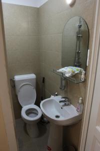 ein Badezimmer mit einem WC, einem Waschbecken und einem Spiegel in der Unterkunft Muzsikás Vendégház in Lupeni