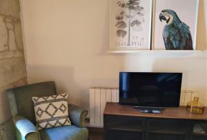 Televízia a/alebo spoločenská miestnosť v ubytovaní Exclusivo apartamento en edificio histórico