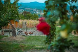 Paisaje cerca de esta villa