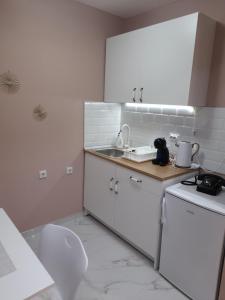 Kuhinja oz. manjša kuhinja v nastanitvi Iva Lux apartman