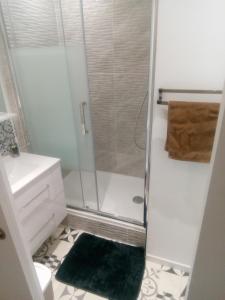 ein Badezimmer mit einer Dusche und einem grünen Teppich in der Unterkunft Studio 28m² au pied de la défense in Courbevoie