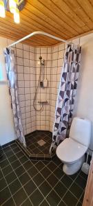 a bathroom with a shower and a toilet at Three bedroom vacation home in Við Gjógv
