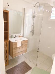 W łazience znajduje się prysznic i umywalka. w obiekcie Lagon Sainte-Anne : au calme et à 2 pas des plages w mieście Sainte-Anne