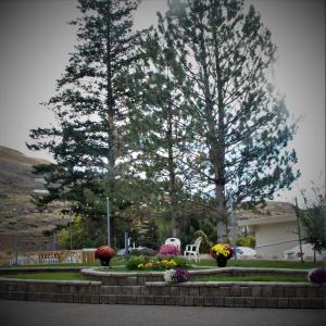 Garður fyrir utan Canada's Best Value Desert Inn & Suites