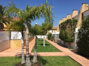 eine Reihe von Palmen im Hof in der Unterkunft Ideal house at the Beach in Sagunto(Valencia) in Sagunt