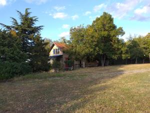 Κήπος έξω από το Lodging Vidmar