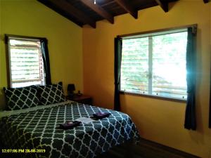 a bedroom with a bed and two windows at Fully equipped 2 bedroom tree top cottage, with large balcony in private garden in San Ignacio