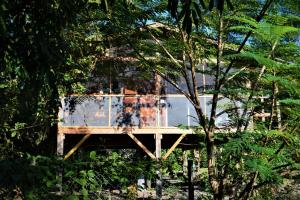 a glass house in the middle of a forest at Fully equipped 2 bedroom tree top cottage, with large balcony in private garden in San Ignacio