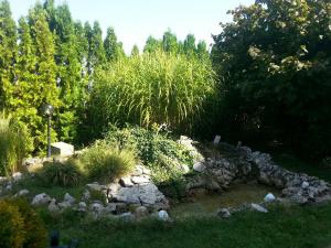 Un jardín fuera de Hotel Marica