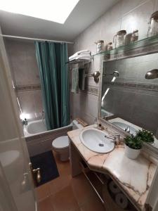 a bathroom with a sink and a toilet and a mirror at La casa de LA FLORA a 3 minutos de la catedral VUT09187 in Burgos