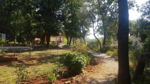 Κήπος έξω από το Ferienhaus Marina