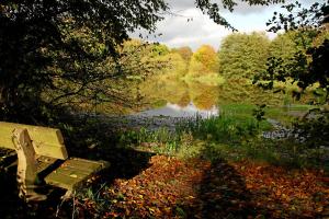 um banco de parque sentado ao lado de um lago com árvores em Haus Berghoff em Sundern