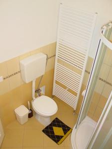 een kleine badkamer met toilet en douche bij Excellent Location in Bratislava +48 foto's