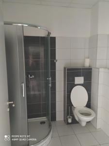 uma casa de banho com um WC e uma cabina de duche em vidro. em Penzion ValMez em Valašské Meziříčí