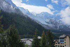 Afbeelding uit fotogalerij van Studio Face au Mont-Blanc in Chamonix-Mont-Blanc