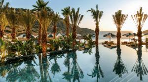 uma piscina com palmeiras e o oceano ao fundo em Daios Cove em Agios Nikolaos