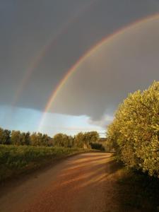 a rainbow in the sky over a dirt road at Le Rondini in Montecosaro