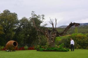 Fotografia z galérie ubytovania Casa Rural Encinar de las Flores v destinácii Los Navalucillos + 37 fotografií