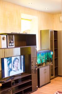 Телевизор и/или развлекательный центр в Comfortable apartments in the center of Dnipro-city