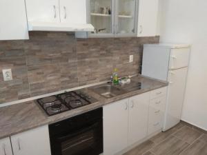 a kitchen with a sink and a stove at Apartments Dalibor in Brna
