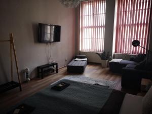 Televízia a/alebo spoločenská miestnosť v ubytovaní Palace - Belvárosi Apartman Eger