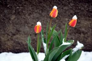 Fotografie z fotogalerie ubytování Appartements Pension Sonia v destinaci Funes