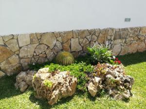 A garden outside Villa Cavarra
