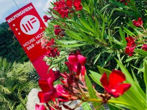 Zahrada ubytování Hotel Malpensafiera