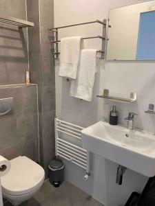 a bathroom with a white sink and a toilet at HaagsHuisje- eigen appartement, dichtbij alles, stijlvol in Voorburg