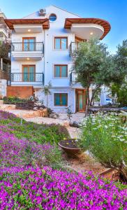Zahrada ubytování Çınarlar Apart Hotel KAŞ