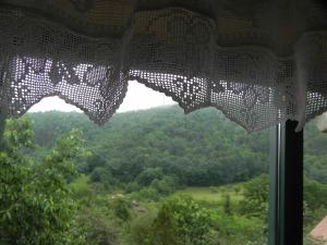 a window with a view of a field and trees at IEDERA Casa de Familii 2 in Pianu de Sus