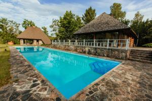 a swimming pool in front of a gazebo at Kid's House in Padure