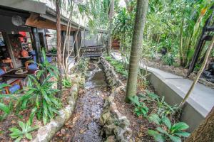 Κήπος έξω από το Umlilo Guest House