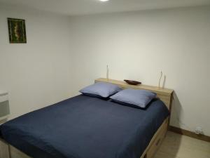 a bedroom with a bed with two blue pillows at Belle vue au coeur de la verdure in Aisey-sur-Seine