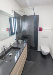 La salle de bains est pourvue d'un lavabo et de toilettes. dans l'établissement Panorama boathouse, à Klaksvík