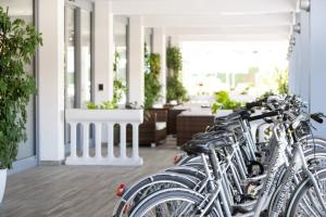Jízda na kole v ubytování Hotel Al Cigno nebo okolí