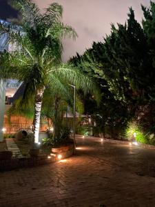 A garden outside Villa 56 Luxury apartments