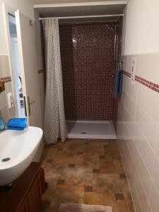 een badkamer met een douche en een wastafel bij Casa Hibiscus in Putbus