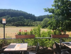 eine Terrasse mit Tischen, Stühlen und einem Feld in der Unterkunft Pension Da Enzo in Otterbach